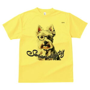 EGXgnChzCgeA TVc  j[NfUCY LbY t@  t vg lJWA 킢 lԗp Mtg I ҏ΍ Kl EGXgn