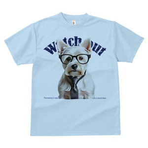 EGXgnChzCgeA TVc  j[NfUCfB[X t@  t vg lJWA 킢 lԗp Mtg I ҏ΍ Kl EGXgnC