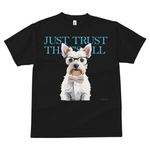 EGXgnChzCgeA TVc  j[NfUCfB[X t@  t vg lJWA 킢 lԗp Mtg I ҏ΍ Kl EGXgnC