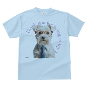 ~j`AViEU[ TVc  j[NfUCfB[X t@  t vg lJWA 킢 lԗp Mtg I ҏ΍ Kl ~j`AViEU[ 