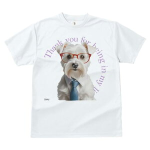 ~j`AViEU[ TVc  j[NfUCfB[X t@  t vg lJWA 킢 lԗp Mtg I ҏ΍ Kl ~j`AViEU[ 