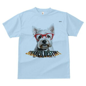 EGXgnChzCgeA TVc  j[NfUCY LbY t@  t vg lJWA 킢 lԗp Mtg I ҏ΍ Kl EGXgn