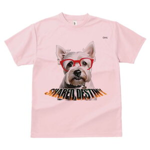 EGXgnChzCgeA TVc  j[NfUCY LbY t@  t vg lJWA 킢 lԗp Mtg I ҏ΍ Kl EGXgn