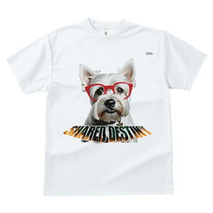 EGXgnChzCgeA TVc  j[NfUCY LbY t@  t vg lJWA 킢 lԗp Mtg I ҏ΍ Kl EGXgn