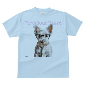 EGXgnChzCgeA TVc  j[NfUCfB[X t@  t vg lJWA 킢 lԗp Mtg I ҏ΍ Kl EGXgnC