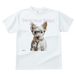 EGXgnChzCgeA TVc  j[NfUCfB[X t@  t vg lJWA 킢 lԗp Mtg I ҏ΍ Kl EGXgnC