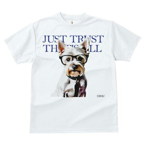 EGXgnChzCgeA TVc  j[NfUCfB[X t@  t vg lJWA 킢 lԗp Mtg I ҏ΍ Kl EGXgnC