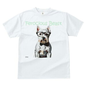 EGXgnChzCgeA TVc  j[NfUCfB[X t@  t vg lJWA 킢 lԗp Mtg I ҏ΍ Kl EGXgnC