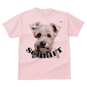 ~j`AViEU[ TVc  j[NfUCfB[X t@  t vg lJWA 킢 lԗp Mtg I ҏ΍ Kl ~j`AViEU[