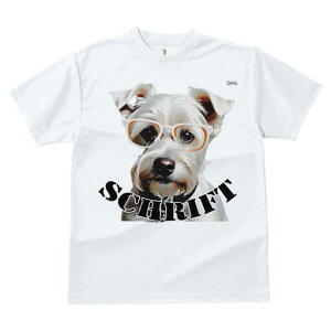 ~j`AViEU[ TVc  j[NfUCfB[X t@  t vg lJWA 킢 lԗp Mtg I ҏ΍ Kl ~j`AViEU[