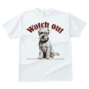 EGXgnChzCgeA TVc  j[NfUCfB[X t@  t vg lJWA 킢 lԗp Mtg I ҏ΍ Kl EGXgnC