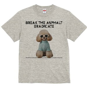 gCv[h TVc  j[NfUCfB[X t@  t vg lJWA 킢 lԗp Mtg I ҏ΍ TOX gCv[h Z[^[