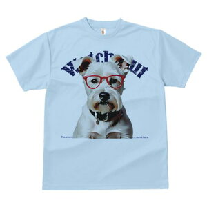 ~j`AViEU[ TVc  j[NfUCfB[X t@  t vg lJWA 킢 lԗp Mtg I ҏ΍ Kl ~j`AViEU[