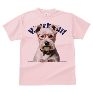 ~j`AViEU[ TVc  j[NfUCfB[X t@  t vg lJWA 킢 lԗp Mtg I ҏ΍ Kl ~j`AViEU[