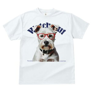 ~j`AViEU[ TVc  j[NfUCfB[X t@  t vg lJWA 킢 lԗp Mtg I ҏ΍ Kl ~j`AViEU[