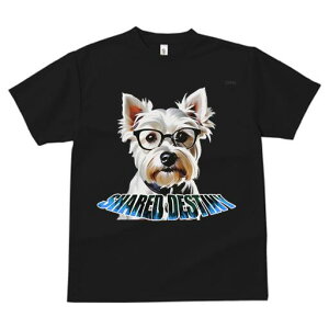 EGXgnChzCgeA TVc  j[NfUCfB[X t@  t vg lJWA 킢 lԗp Mtg I ҏ΍ Kl EGXgnC