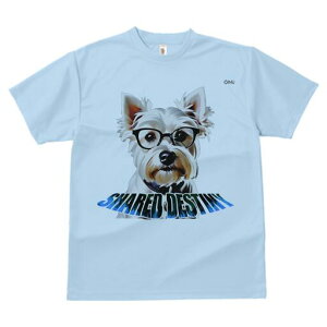 EGXgnChzCgeA TVc  j[NfUCfB[X t@  t vg lJWA 킢 lԗp Mtg I ҏ΍ Kl EGXgnC