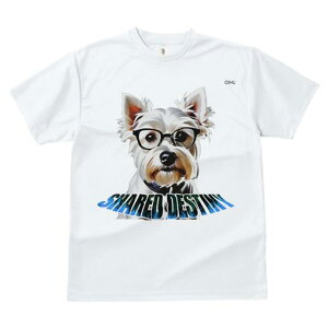 EGXgnChzCgeA TVc  j[NfUCY LbY t@  t vg lJWA 킢 lԗp Mtg I ҏ΍ Kl EGXgn