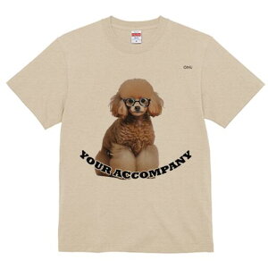 v[h TVc  j[NfUCfB[X t@  t vg lJWA 킢 lԗp Mtg I ҏ΍ Kl v[h