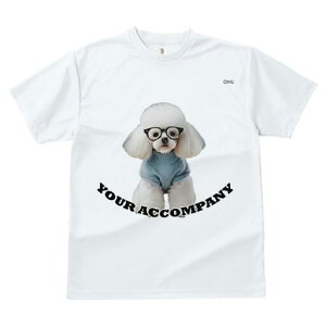 gCv[h TVc  j[NfUCY LbY t@  t vg lJWA 킢 lԗp Mtg I ҏ΍ Kl gCv[h Z[^[