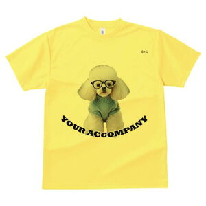 gCv[h TVc  j[NfUCfB[X t@  t vg lJWA 킢 lԗp Mtg I ҏ΍ Kl gCv[h Z[^[