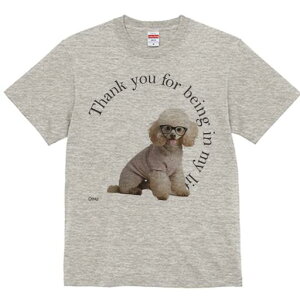 v[h TVc  j[NfUCfB[X t@  t vg lJWA 킢 lԗp Mtg I ҏ΍ Kl v[h 