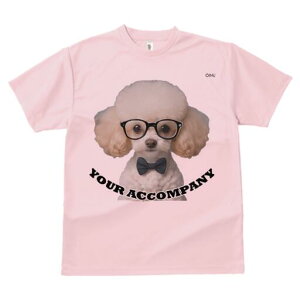 gCv[h TVc  j[NfUCfB[X t@  t vg lJWA 킢 lԗp Mtg I ҏ΍ Kl gCv[h lN^C