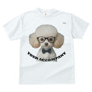 gCv[h TVc  j[NfUCY LbY t@  t vg lJWA 킢 lԗp Mtg I ҏ΍ Kl gCv[h lN^C