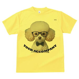 gCv[h TVc  j[NfUCY LbY t@  t vg lJWA 킢 lԗp Mtg I ҏ΍ Kl gCv[h lN^C