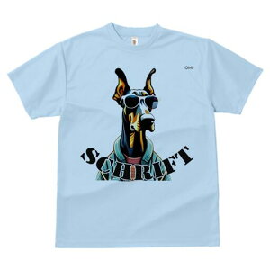 h[x} TVc  j[NfUCfB[X t@  t vg lJWA 킢 lԗp Mtg I ҏ΍ TOX h[x} WPbg