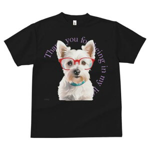 EGXgnChzCgeA TVc  j[NfUCfB[X t@  t vg lJWA 킢 lԗp Mtg I ҏ΍ Kl EGXgnC