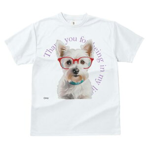 EGXgnChzCgeA TVc  j[NfUCfB[X t@  t vg lJWA 킢 lԗp Mtg I ҏ΍ Kl EGXgnC