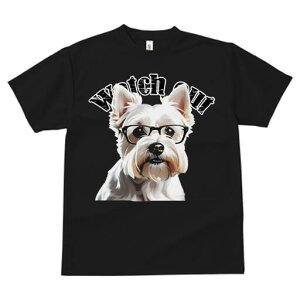 EGXgnChzCgeA TVc  j[NfUCfB[X t@  t vg lJWA 킢 lԗp Mtg I ҏ΍ Kl EGXgnC