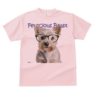 EGXgnChzCgeA TVc  j[NfUCfB[X t@  t vg lJWA 킢 lԗp Mtg I ҏ΍ Kl EGXgnC