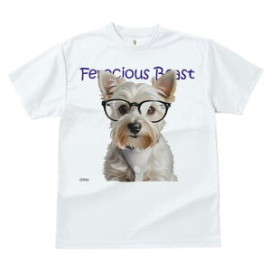 EGXgnChzCgeA TVc  j[NfUCfB[X t@  t vg lJWA 킢 lԗp Mtg I ҏ΍ Kl EGXgnC