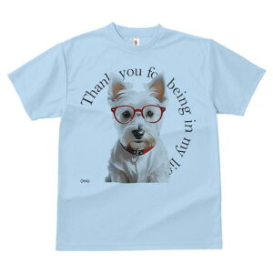 EGXgnChzCgeA TVc  j[NfUCY LbY t@  t vg lJWA 킢 lԗp Mtg I ҏ΍ Kl EGXgn