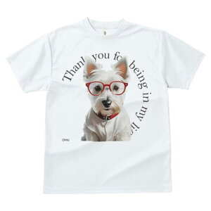 EGXgnChzCgeA TVc  j[NfUCfB[X t@  t vg lJWA 킢 lԗp Mtg I ҏ΍ Kl EGXgnC