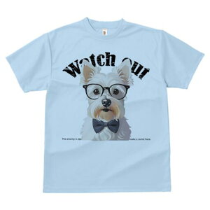 EGXgnChzCgeA TVc  j[NfUCfB[X t@  t vg lJWA 킢 lԗp Mtg I ҏ΍ Kl EGXgnC