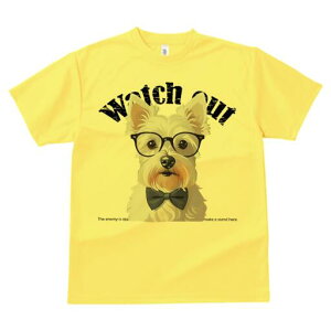 EGXgnChzCgeA TVc  j[NfUCfB[X t@  t vg lJWA 킢 lԗp Mtg I ҏ΍ Kl EGXgnC