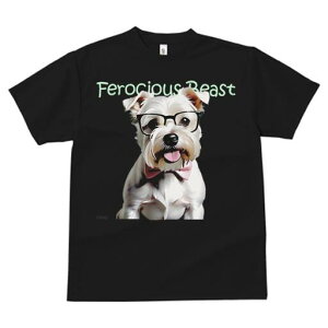 EFXgnChzCgeA TVc  j[NfUCfB[X t@  t vg lJWA 킢 lԗp Mtg I ҏ΍ Kl EFXgnC