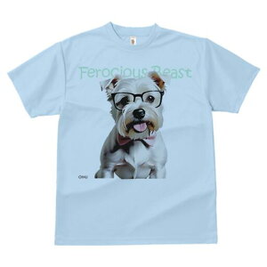 EFXgnChzCgeA TVc  j[NfUCfB[X t@  t vg lJWA 킢 lԗp Mtg I ҏ΍ Kl EFXgnC