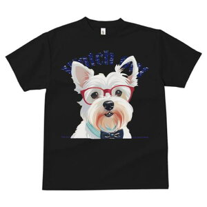 EFXgnChzCgeA TVc  j[NfUCfB[X t@  t vg lJWA 킢 lԗp Mtg I ҏ΍ Kl EFXgnC