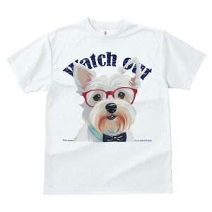 EFXgnChzCgeA TVc  j[NfUCfB[X t@  t vg lJWA 킢 lԗp Mtg I ҏ΍ Kl EFXgnC