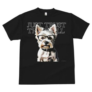 EGXgnChzCgeA TVc  j[NfUCfB[X t@  t vg lJWA 킢 lԗp Mtg I ҏ΍ Kl EGXgnC