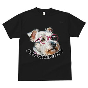 EGXgnChzCgeA TVc  j[NfUCfB[X t@  t vg lJWA 킢 lԗp Mtg I ҏ΍ Kl EGXgnC