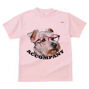 EGXgnChzCgeA TVc  j[NfUCfB[X t@  t vg lJWA 킢 lԗp Mtg I ҏ΍ Kl EGXgnC