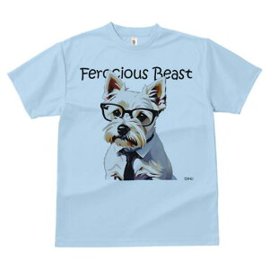 EGXgnChzCgeA TVc  j[NfUCfB[X t@  t vg lJWA 킢 lԗp Mtg I ҏ΍ Kl EGXgnC