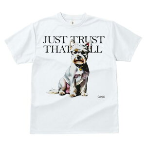 EGXgnChzCgeA TVc  j[NfUCY LbY t@  t vg lJWA 킢 lԗp Mtg I ҏ΍ Kl EGXgn