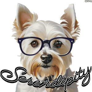 Kl EGXgnChzCgeA NbVJo[ 45×45cm Aj}   NbV{̕t `