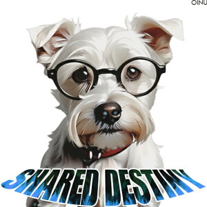 Kl }`[Y NbVJo[ 45×45cm Aj}   NbV{̕t `